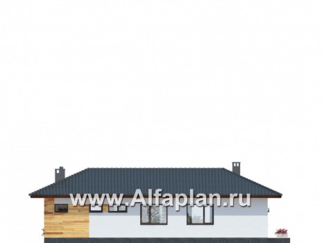 Проекты домов Альфаплан - Одноэтажный дом для углового участка - превью фасада №2